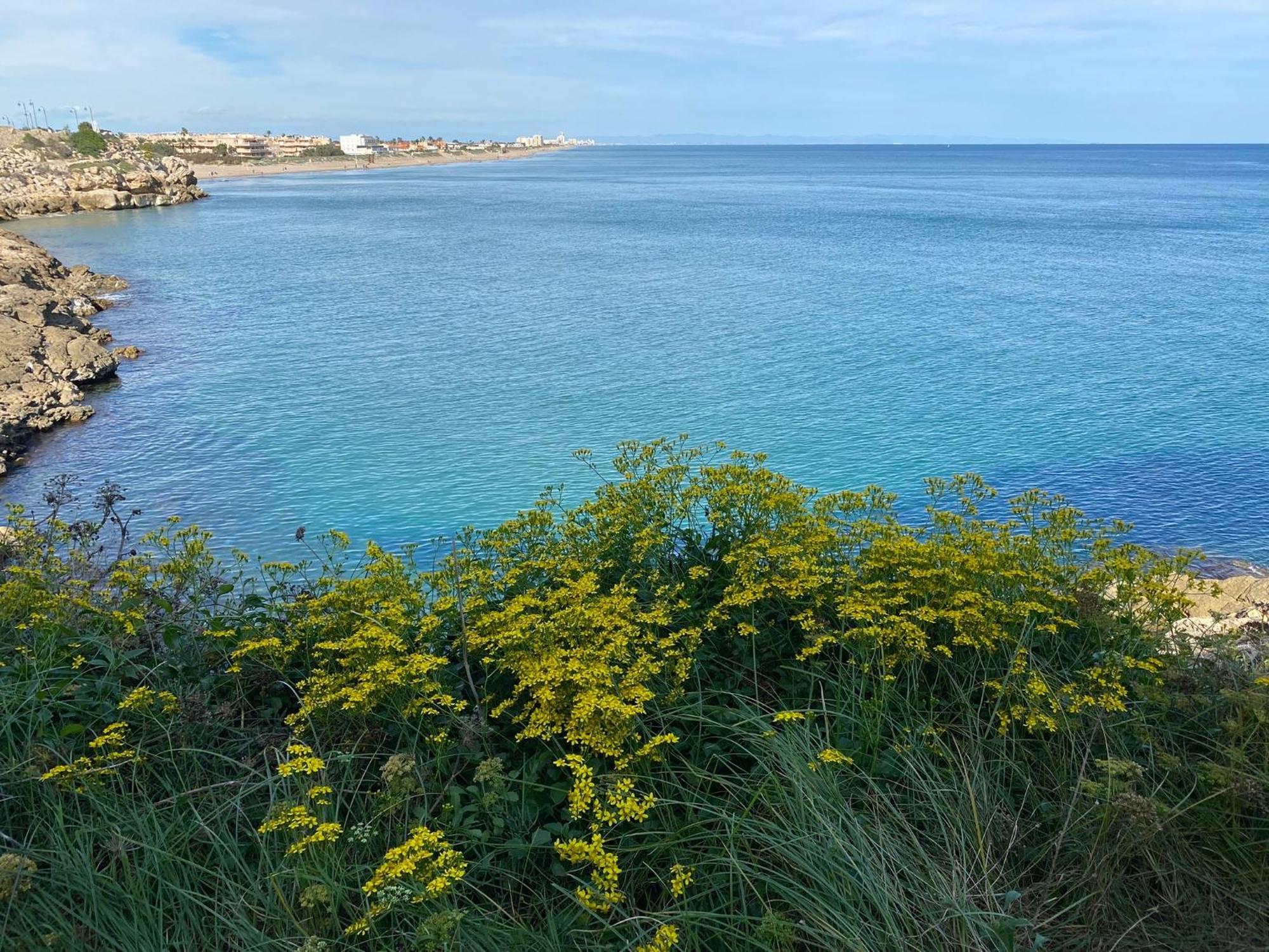 New Stylish Beach Front Apartment Cullera Esterno foto
